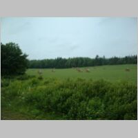 DSCF0064.JPG