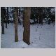 DSCF0039.JPG