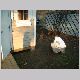 DSCF0043.JPG
