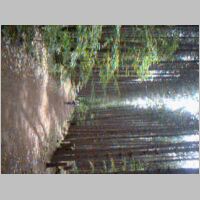 DSCF0009.AVI